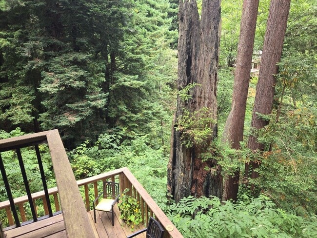 Building Photo - Pet Friendly! Redwood views! 3-bedroom hom...