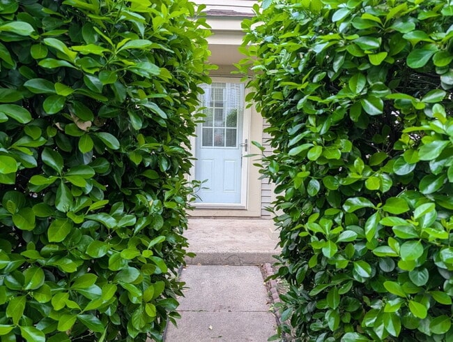 Building Photo - Cozy & Lifestyle-Oriented