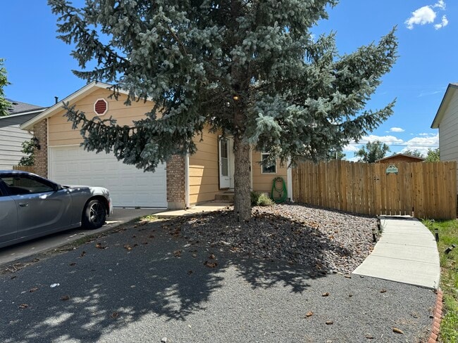 Primary Photo - 4666 Witches Hollow Ln