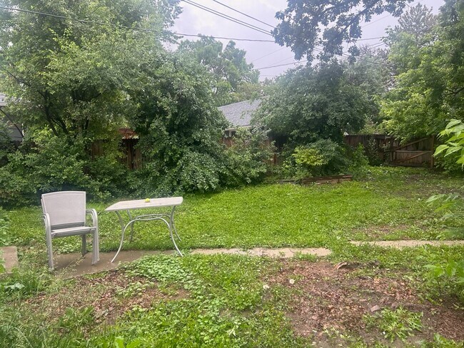 Back yard - 3010 S Downing St