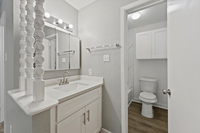 Building Photo - Stunning Remodeled Apartment in Houston!