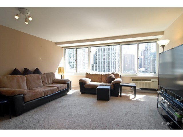 South-facing living room w/ lots of sunlight - 211 E Ohio St