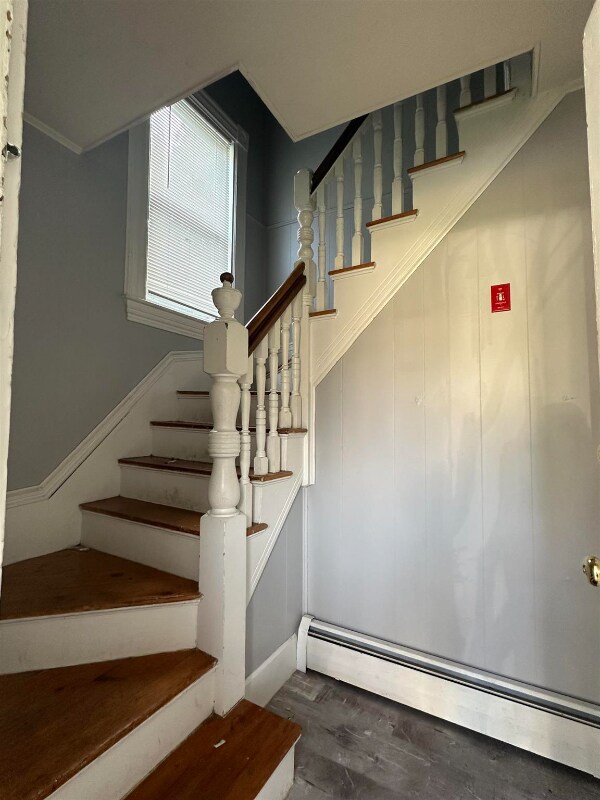 Building Photo - 67 Riddle St