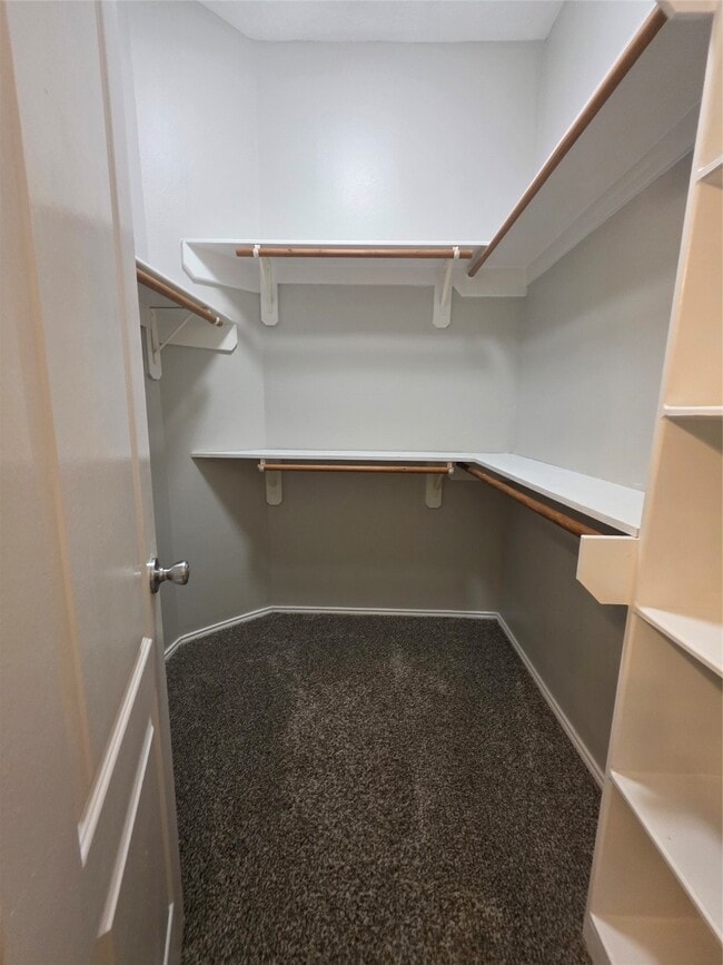 Building Photo - 2614 White Ibis Ct