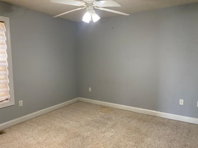 Building Photo - 1041 Foxglove St