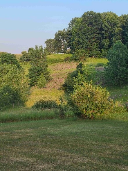 Building Photo - 717 Wild Flower Dr