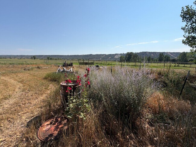 Building Photo - 277 Animas River Rd