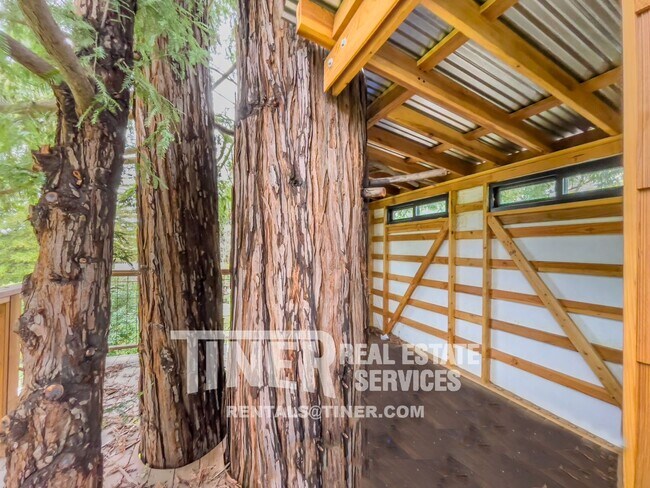 Building Photo - Carmichael Gem - Walking Distance to Ancil...