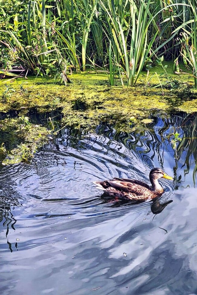 Building Photo - 529 S Beach St