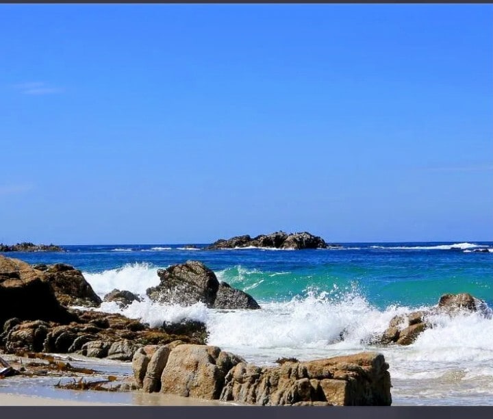 Building Photo - 699 Lottie St