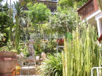 Building Photo - 910 Robinson St