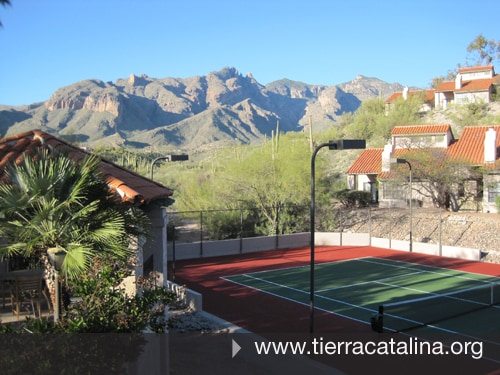 Building Photo - 6460 N Tierra de las Catalinas