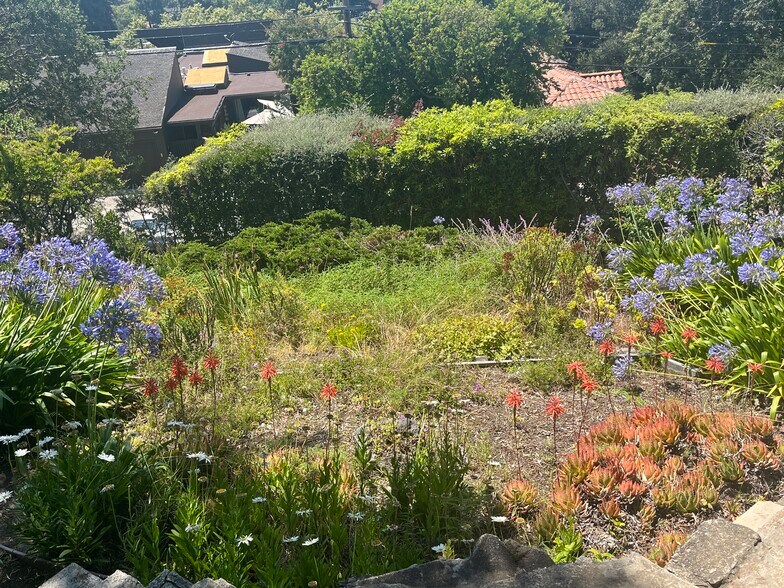 Beautiful and big garden - 34 Oak Ridge Rd