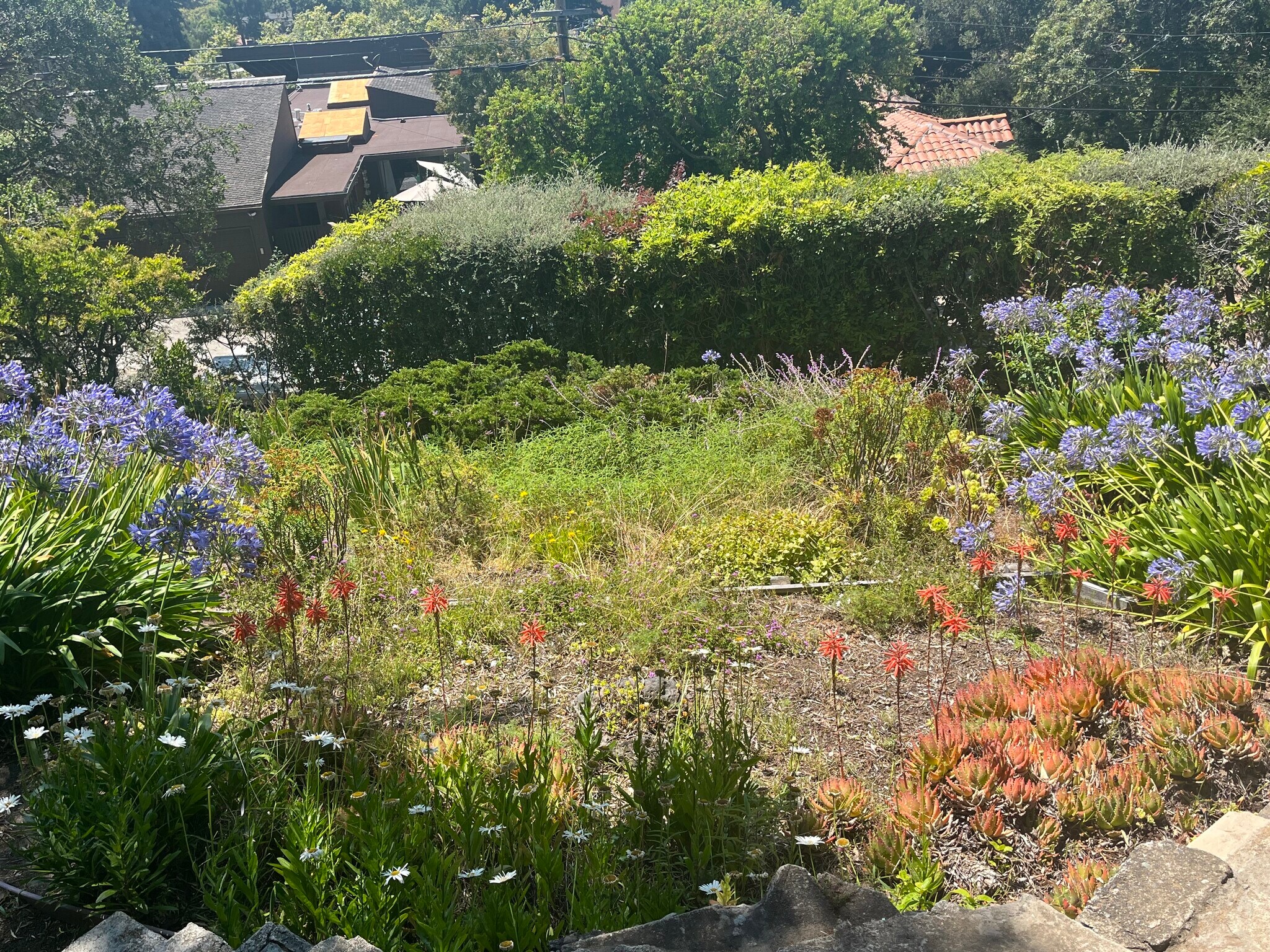 Beautiful and big garden - 34 Oak Ridge Rd