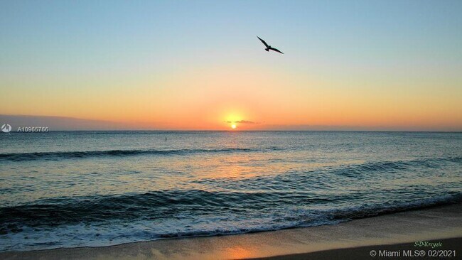 Building Photo - 111 N Pompano Beach Blvd