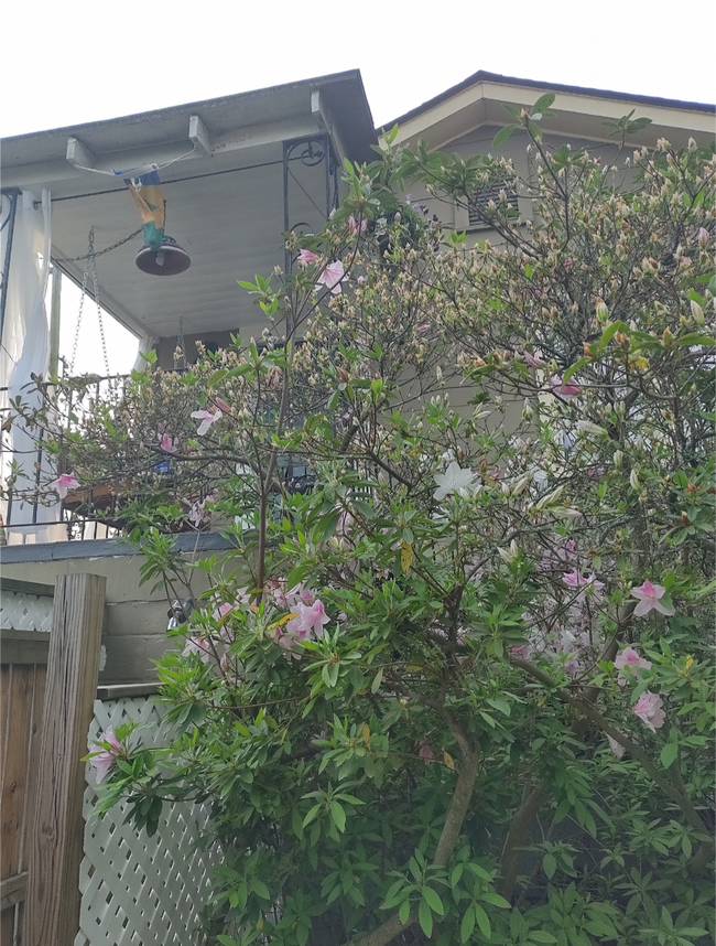 Separate entrance to bedroom 1 - 403 E 53rd St