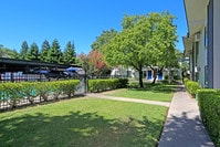 Building Photo - Olive Square Apartments