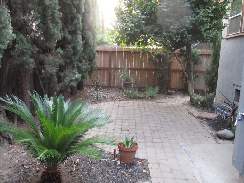 Rear Patio area - 1730 T St