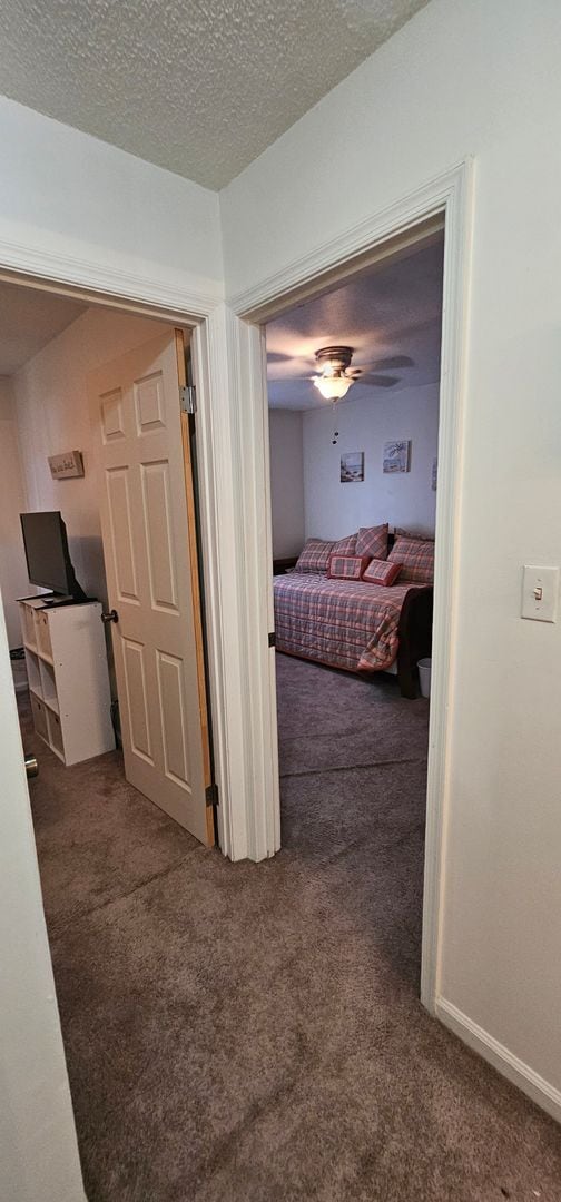 Building Photo - 1117 Fawn Drive – Fully Furnished 3BR/2BA ...