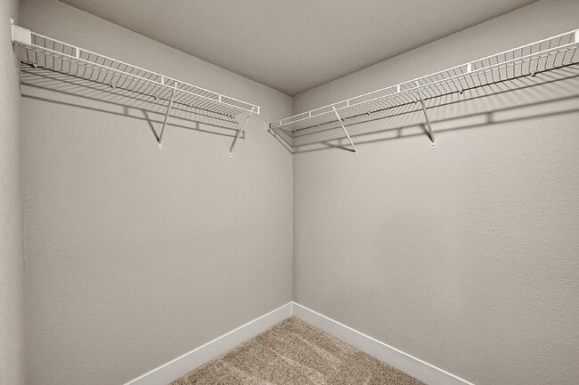 Building Photo - $2,645.00- 4 Bed, 3 Bath Home in Colorado ...