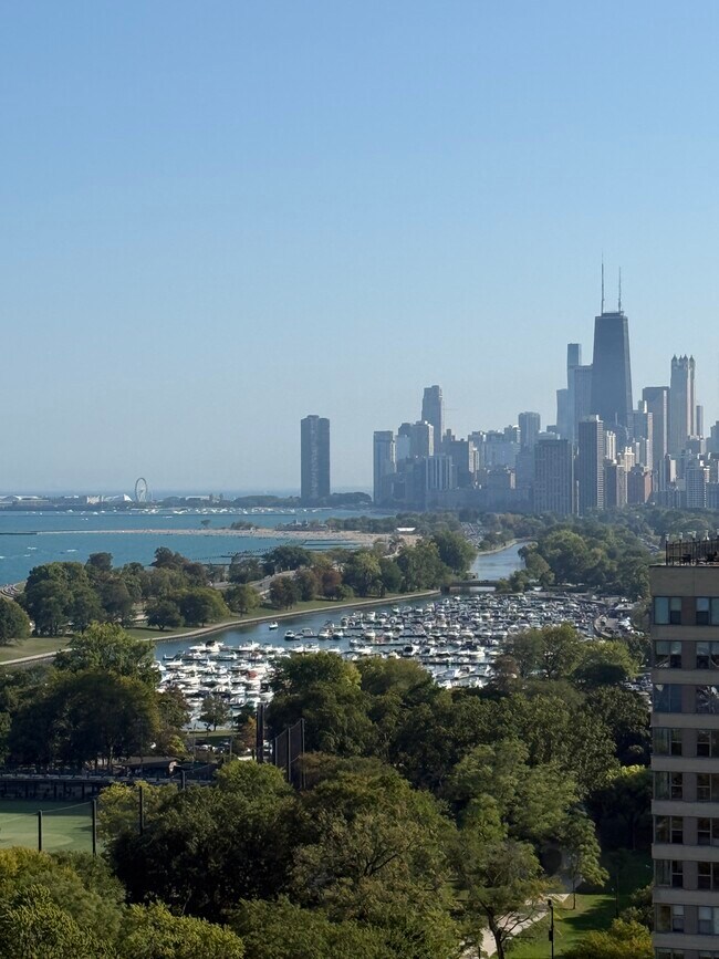 Building Photo - 3100 N Lake Shore Dr