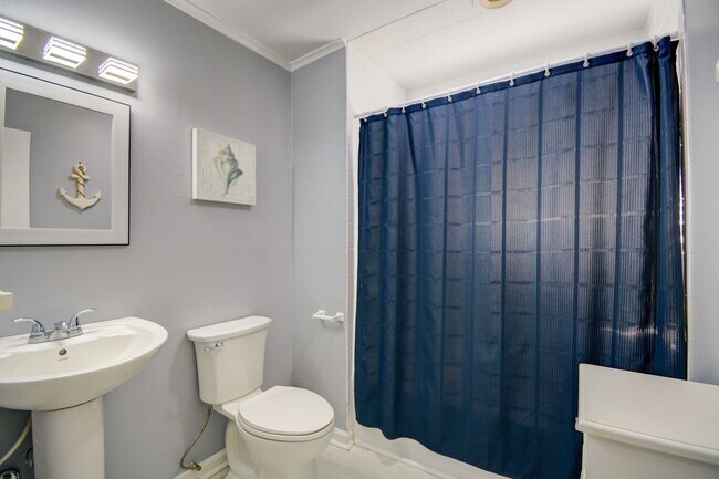 Building Photo - Off Season Rental **Oceanfront, Pet Friendly, 4 Bedroom Beach House** Available November 1st, 202...