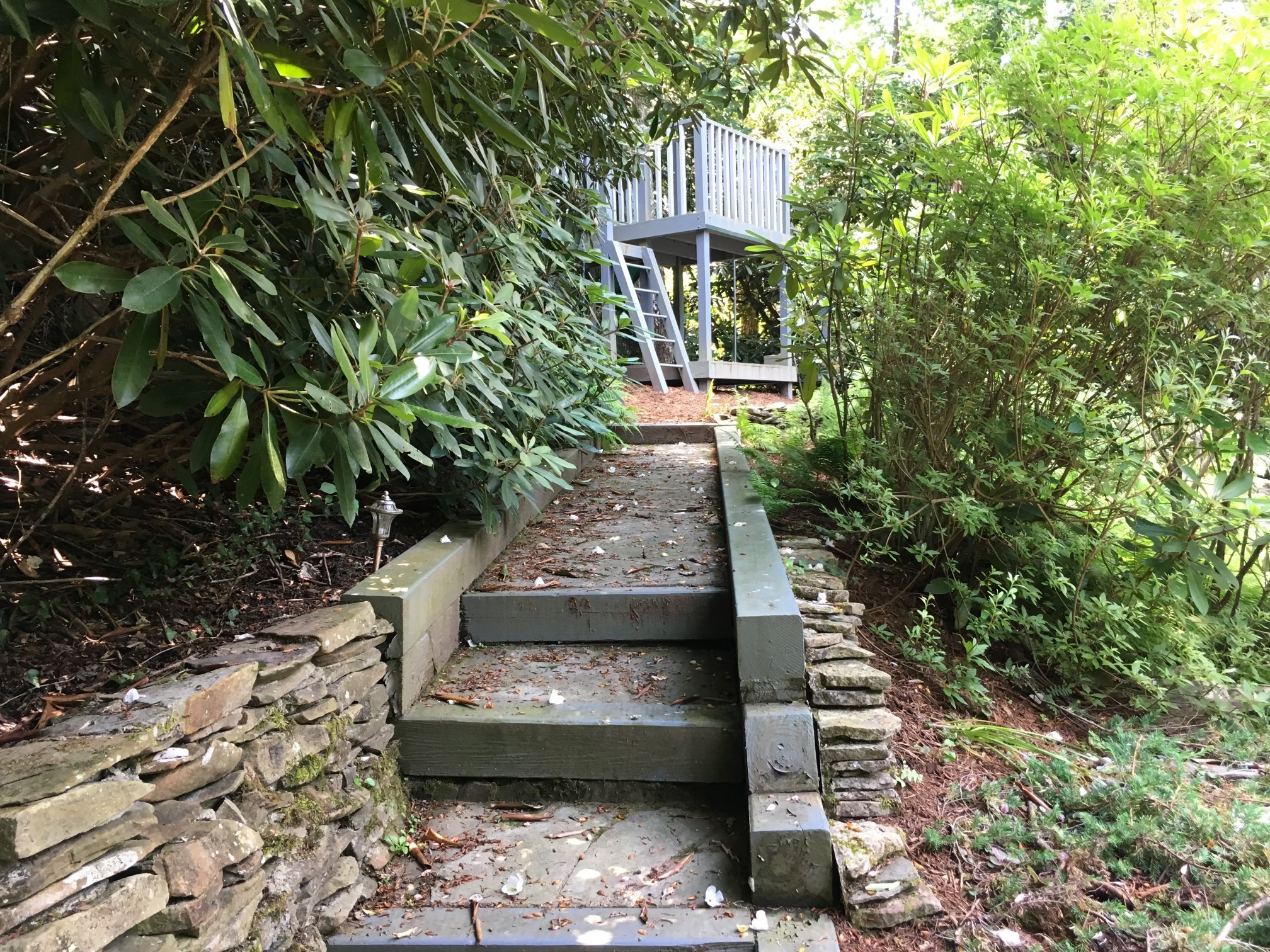 Building Photo - 283 Tanglewood Dr