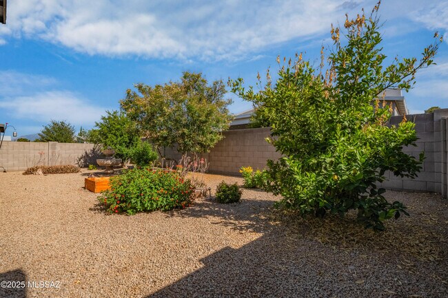 Building Photo - 7526 E Chalkboard Ct