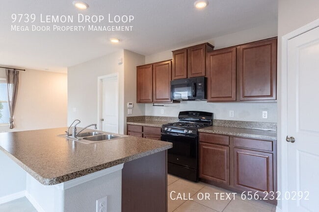 Building Photo - 9739 Lemon Drop Lp