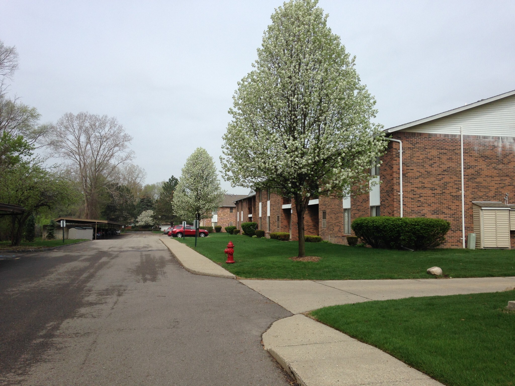 Building Photo - 20380 Purlingbrook St