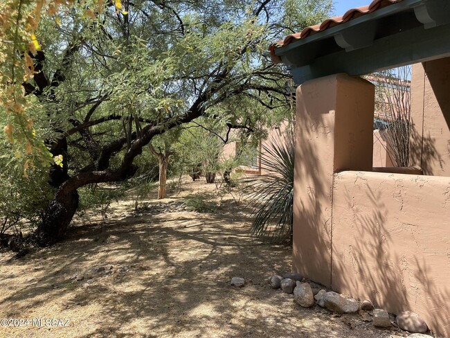 Building Photo - 5380 N Calle Del Rocio