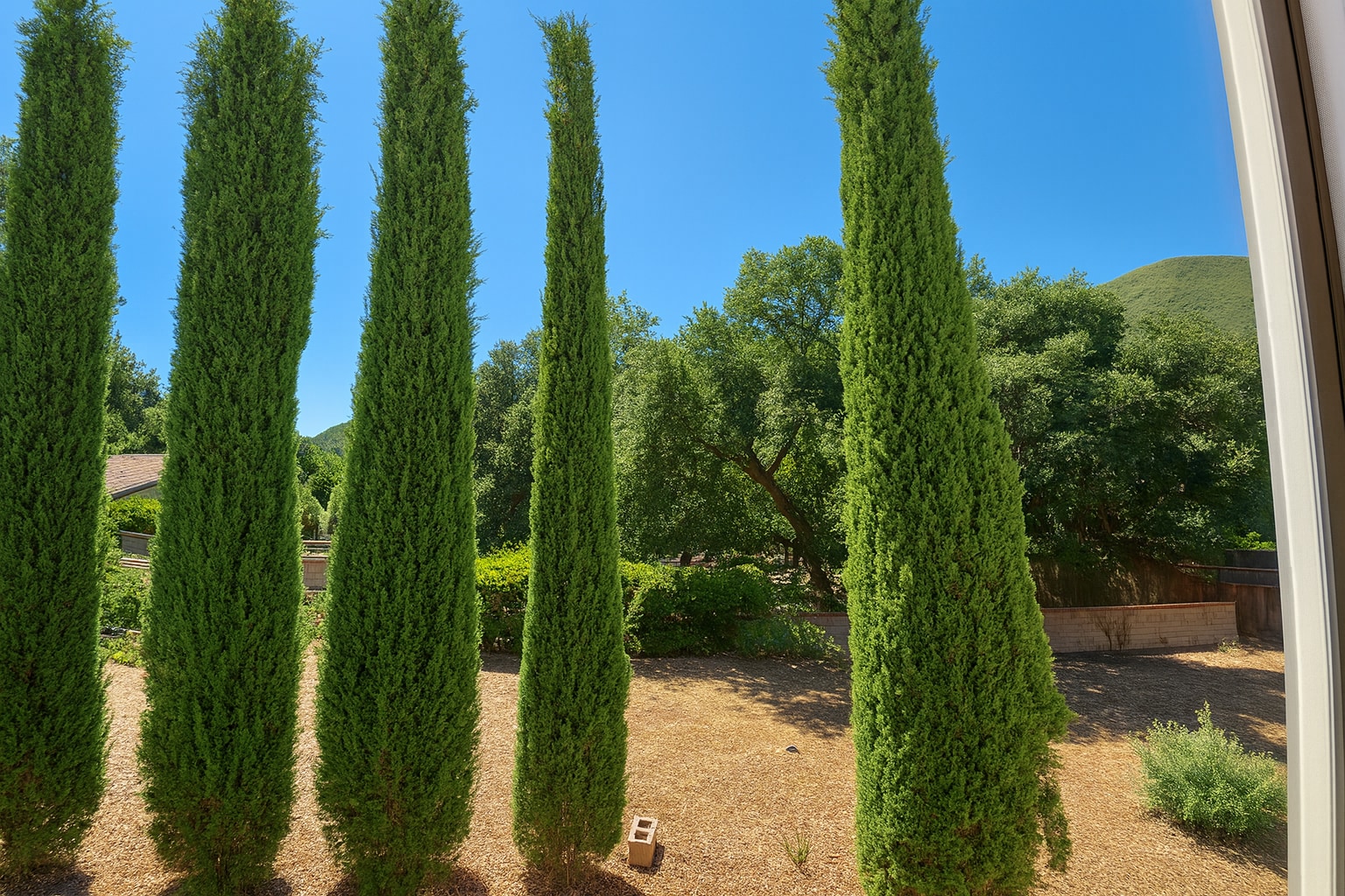 Building Photo - 39216 San Francisquito Canyon Rd