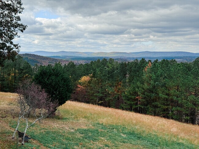 Building Photo - 27 Cadiz Ln