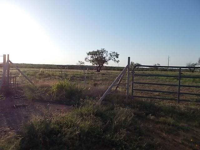 Building Photo - 506 Drummond Rd