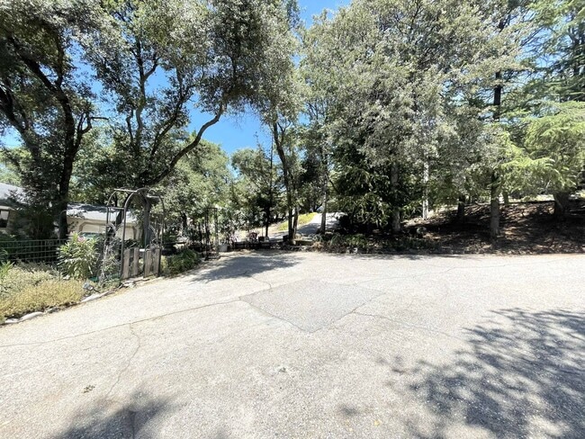 Building Photo - Cozy Apartment-All utilities paid in Lake ...