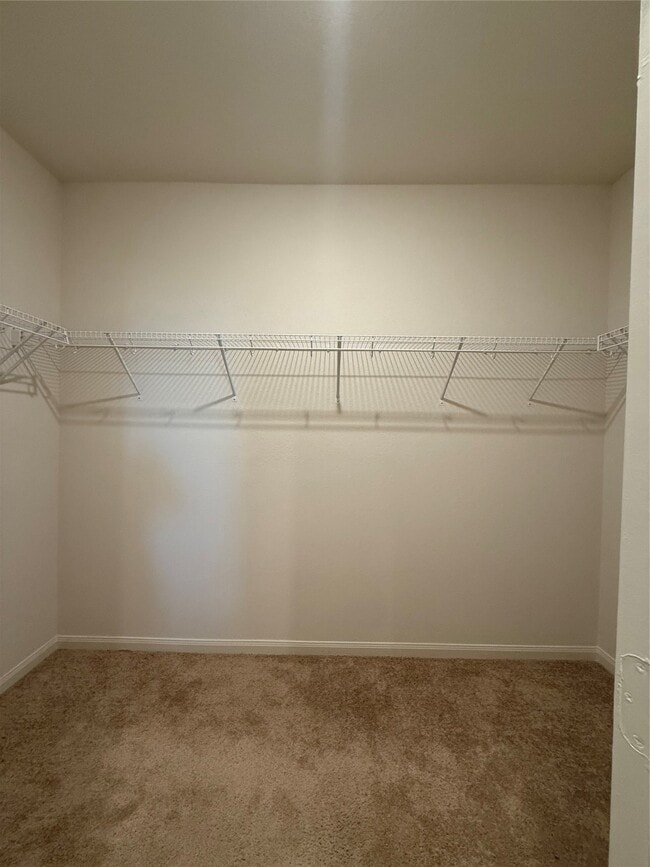 Building Photo - 413 Texas Olive Dr