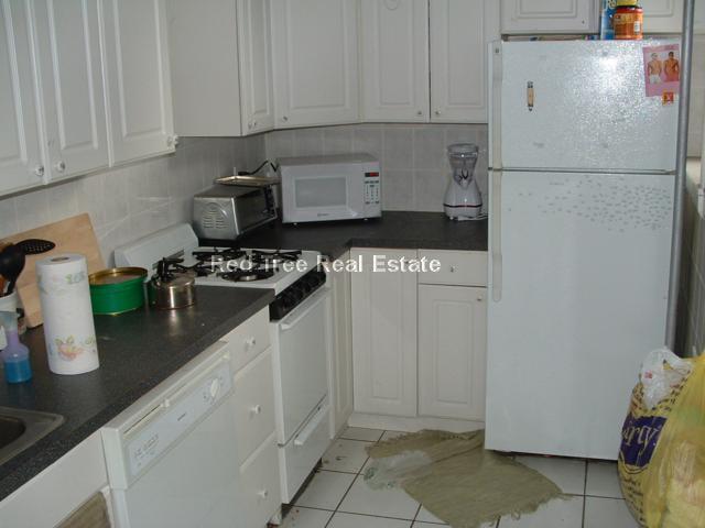 Primary Photo - 56 Egmont St