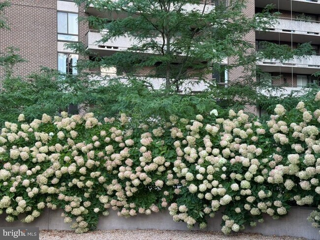 Building Photo - 1800 Old Meadow Rd