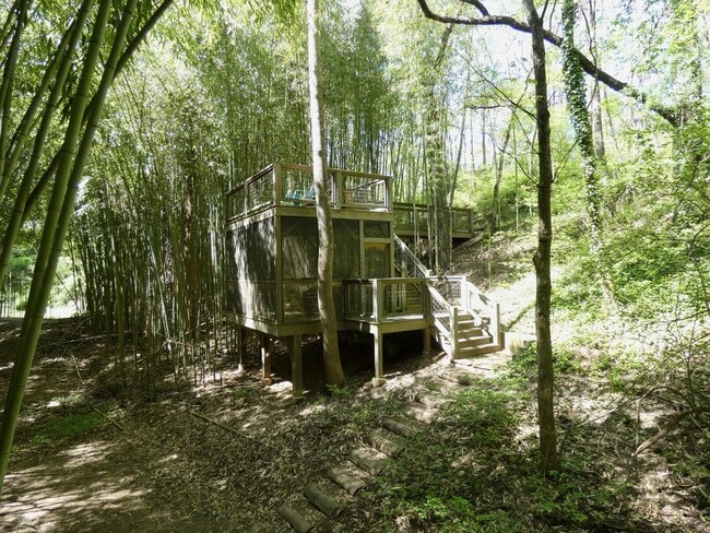 Building Photo - Sovereign Oaks Cabin