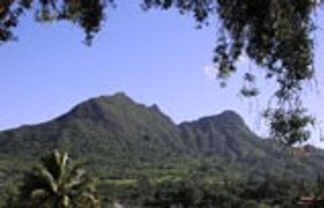Building Photo - Beautiful Maunawili 2Bedroom Retreat!