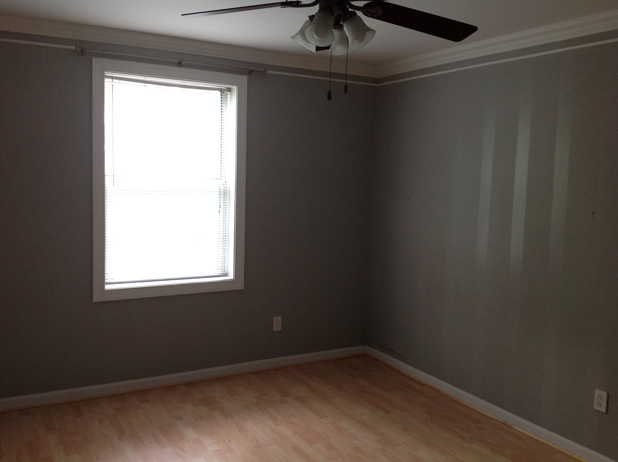 Building Photo - 1728 N Queens Ln