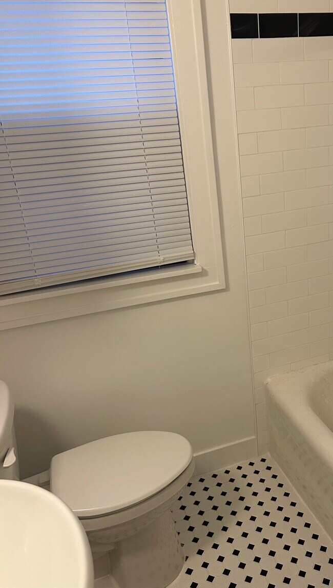Brand new bathroom. Brand new toilet, sink, shower - 841 Nottingham Rd