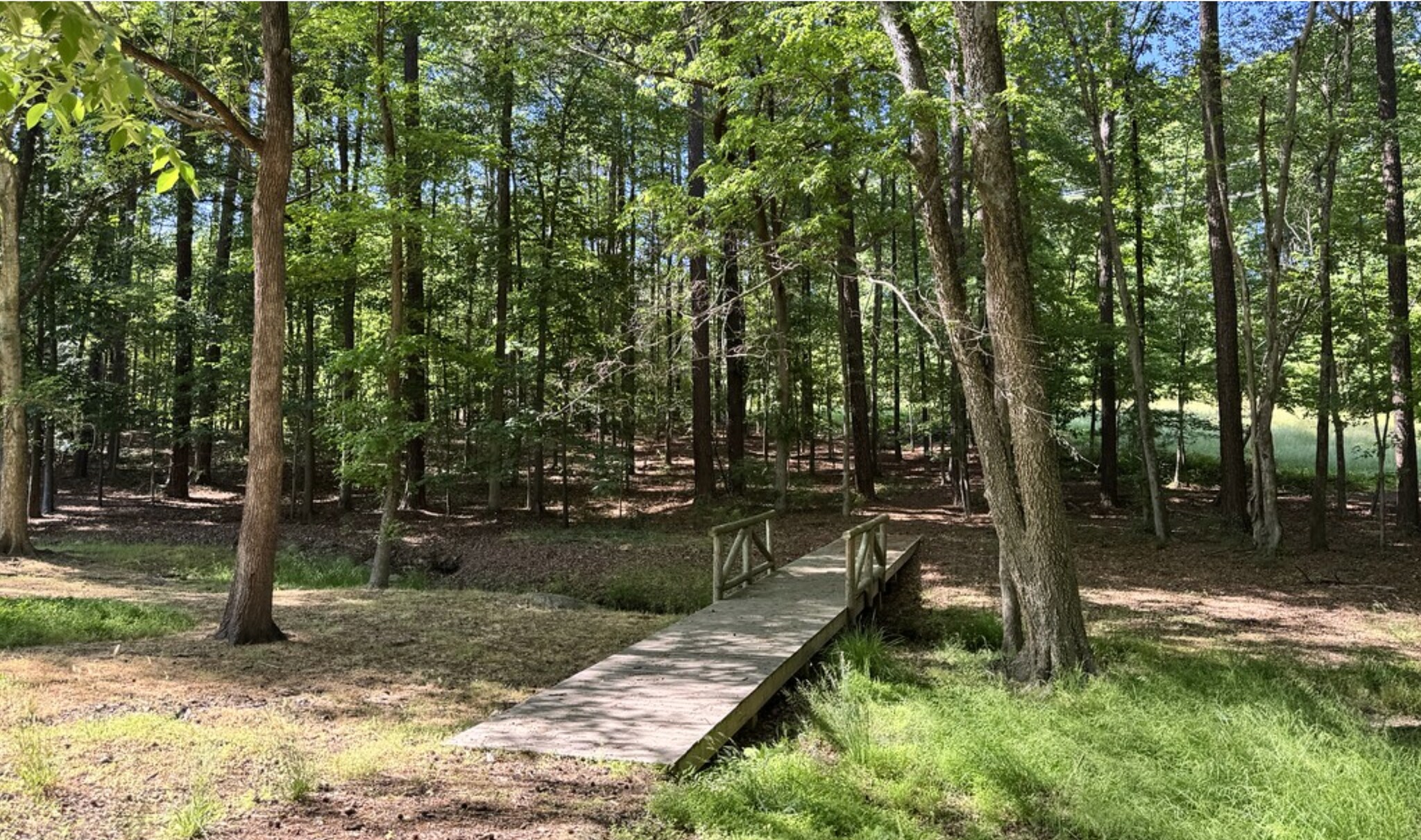 Building Photo - 115 Weavers Grove Dr