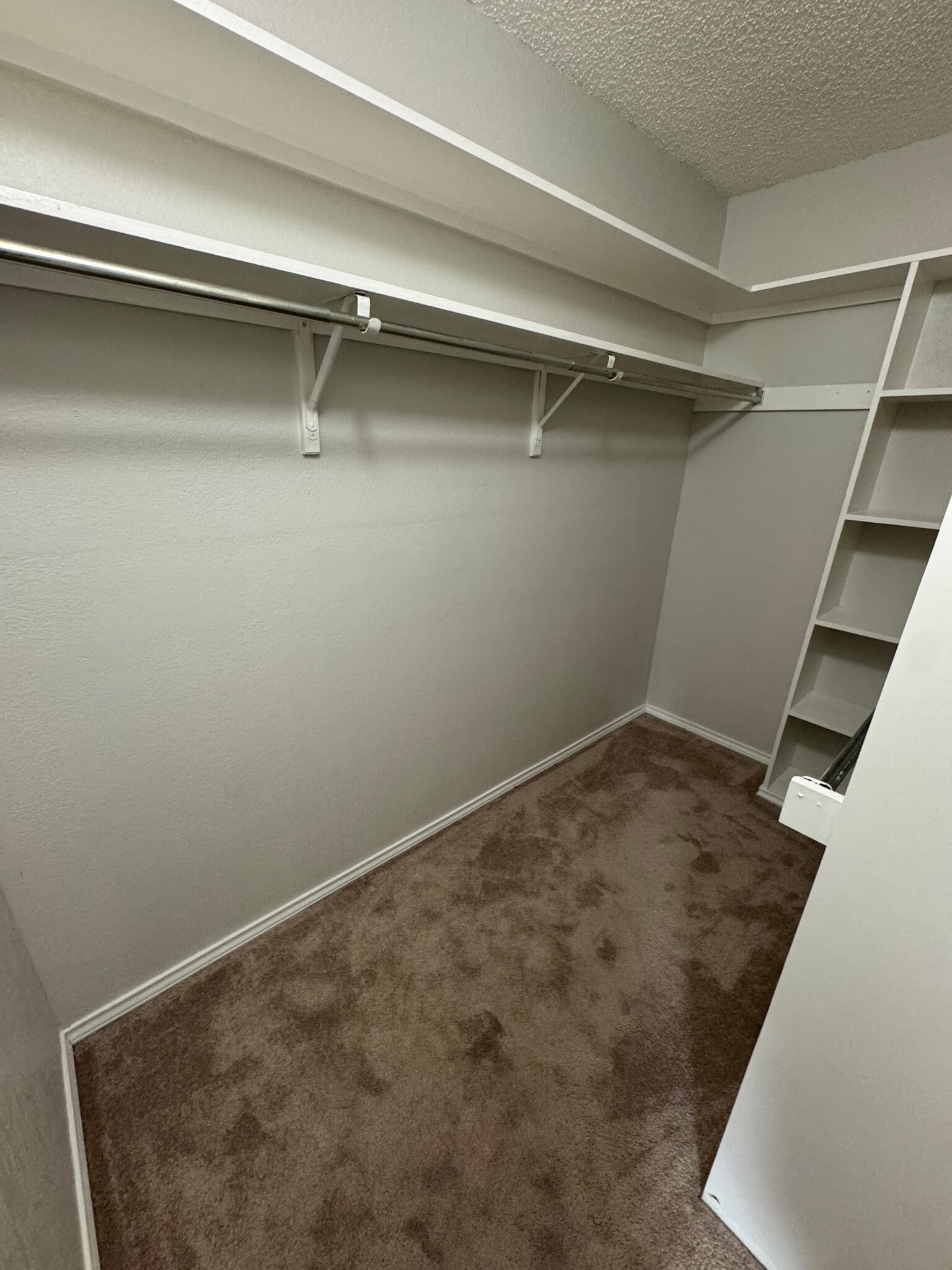 Walk-in in primary - 3905 Picato Dr