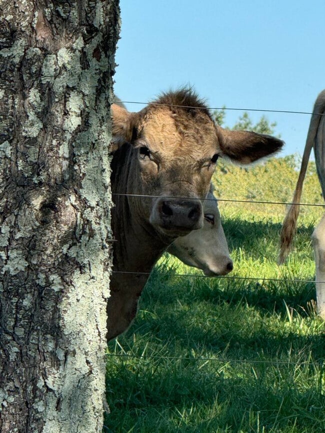 Building Photo - 16615 Spotswood Trail