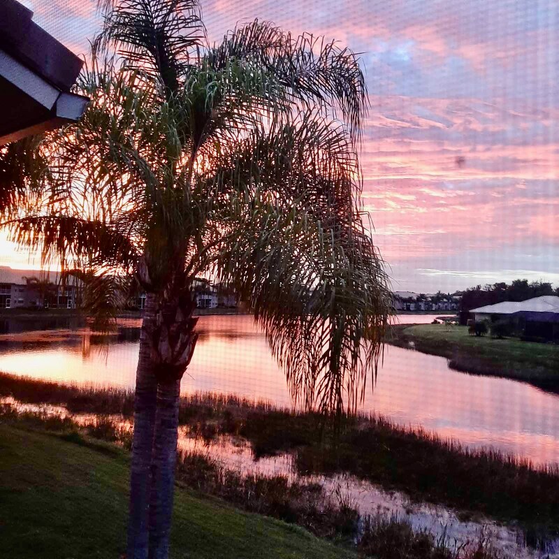 Building Photo - 19940 Barletta Ln