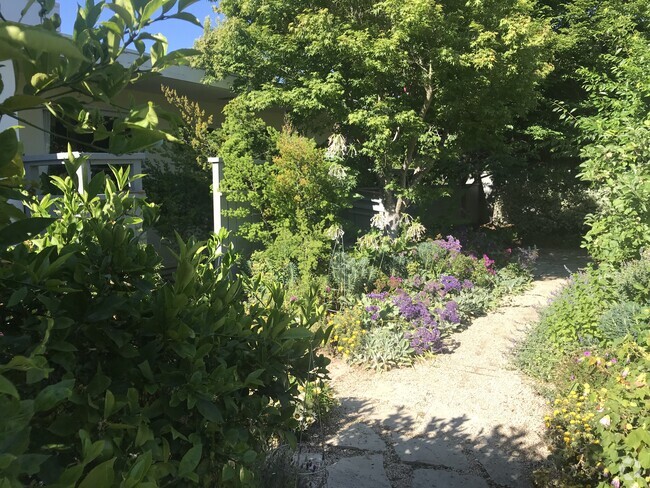 Garden - 3031 Fulton St