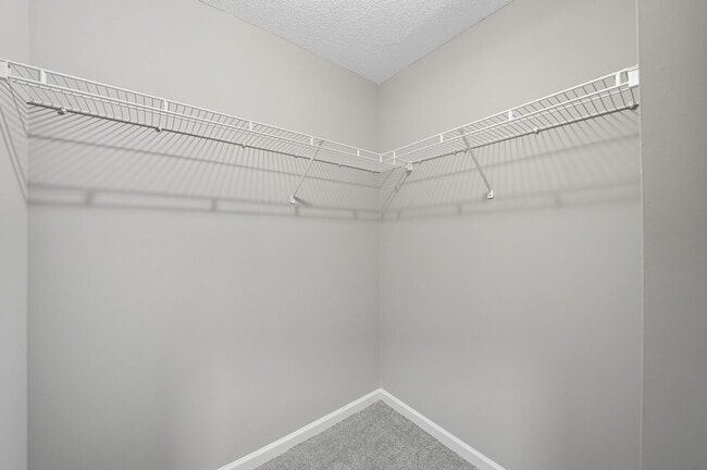 Building Photo - 273 Cottonwood Creek Cir