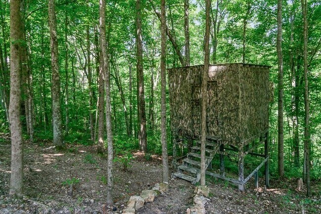 Building Photo - 283 Shiloh Ln