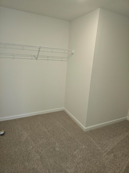 Building Photo - 621 Salisbury Cir